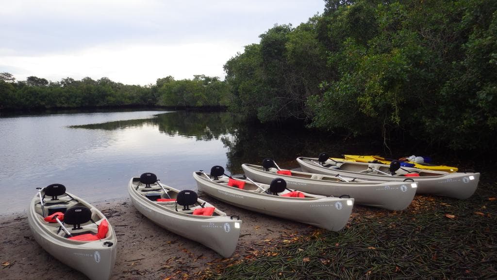 Daily Guided Canoe Trips!