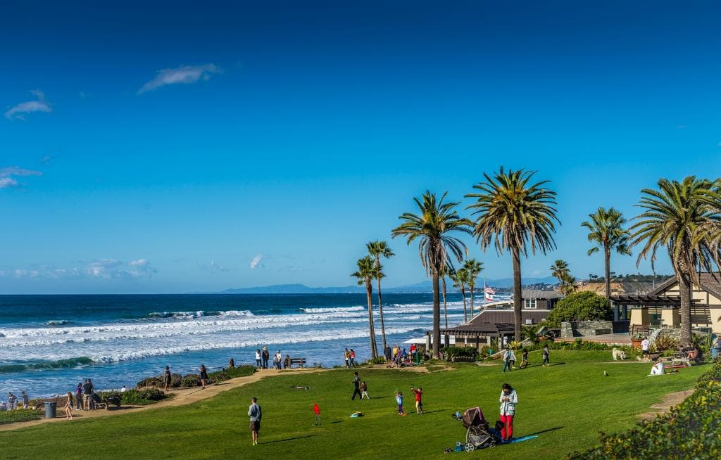 Well Maintained Lawn Areas