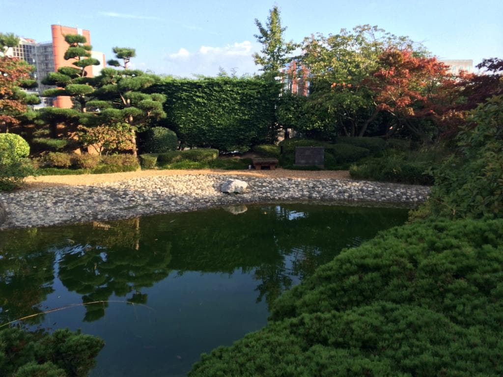 vue jardin japonais 1