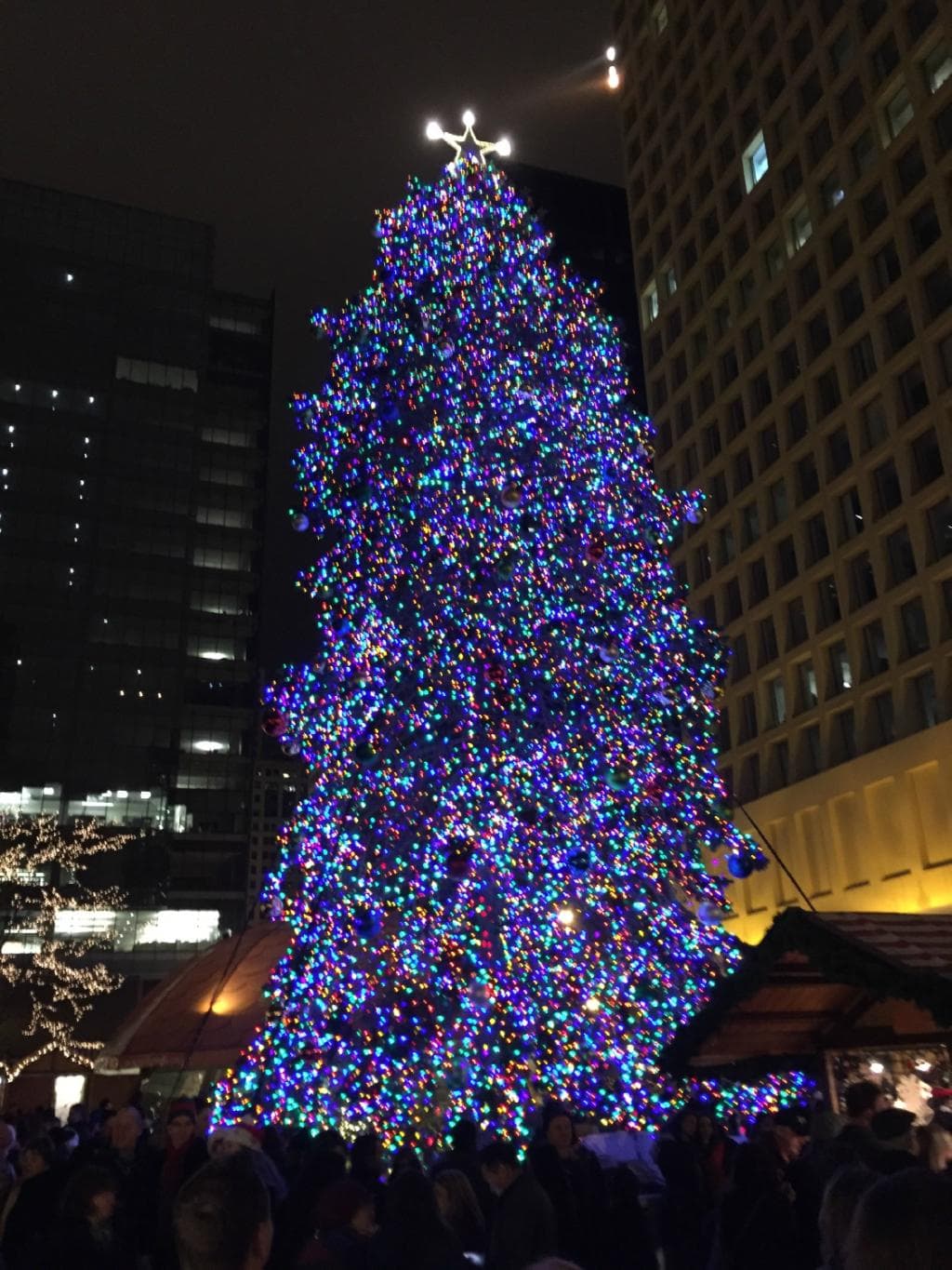 Christmas tree in the plaza