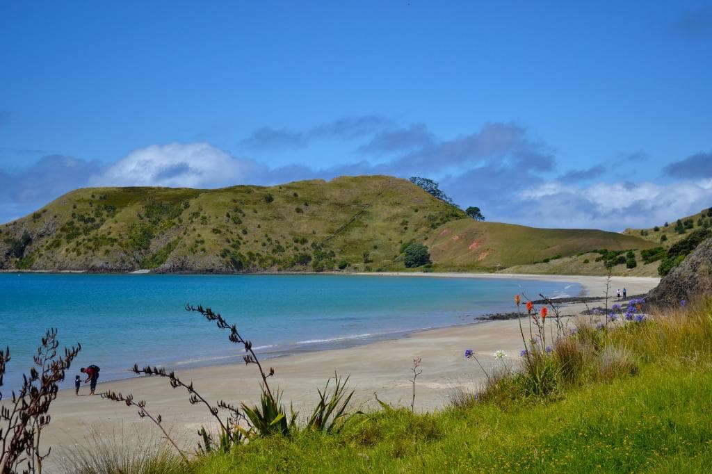 The nice hill, which you easily can climb.