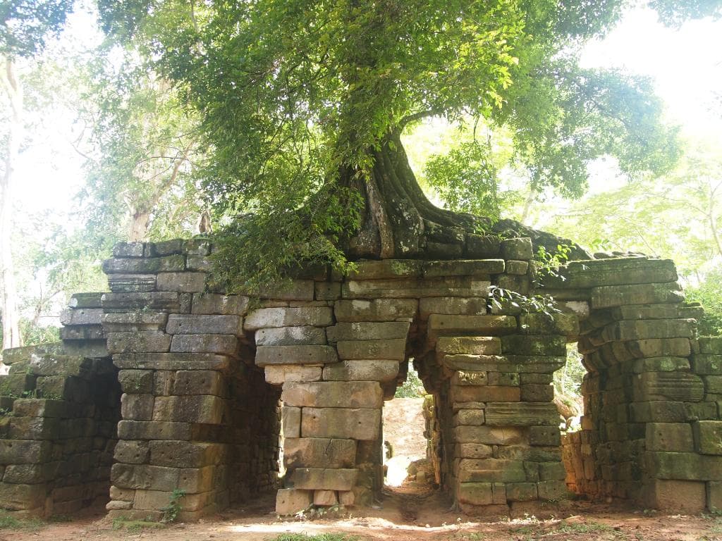 View after crossing under