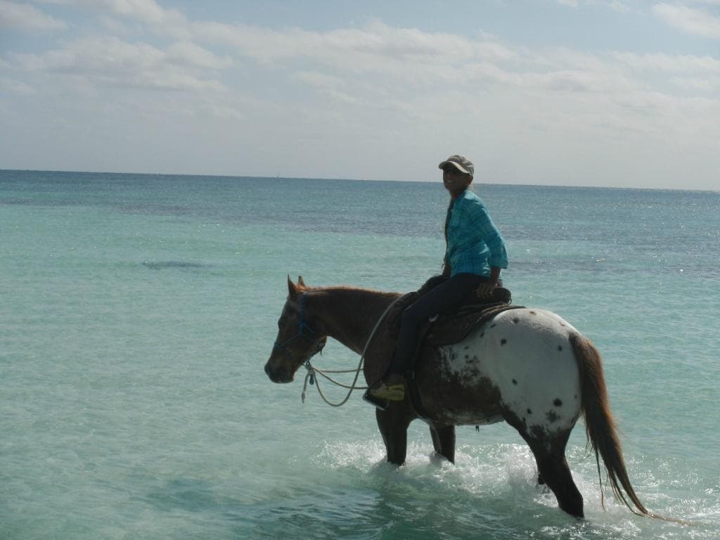 Another beautiful day on my sea horse