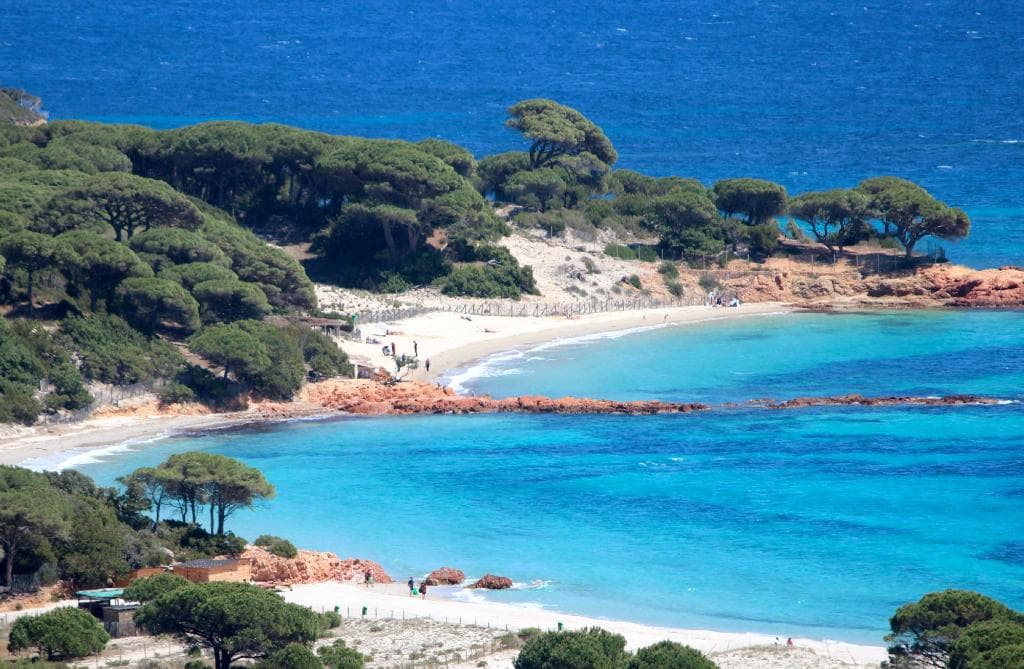 Palombaggia Beach lieu dit I Pini