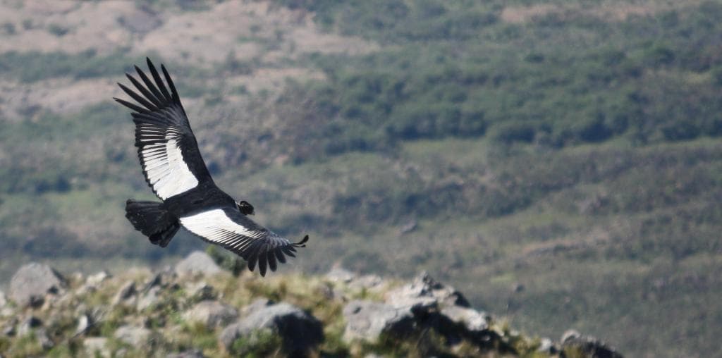 On souffre un peu pour arriver en haut mais la vue vaut le détour