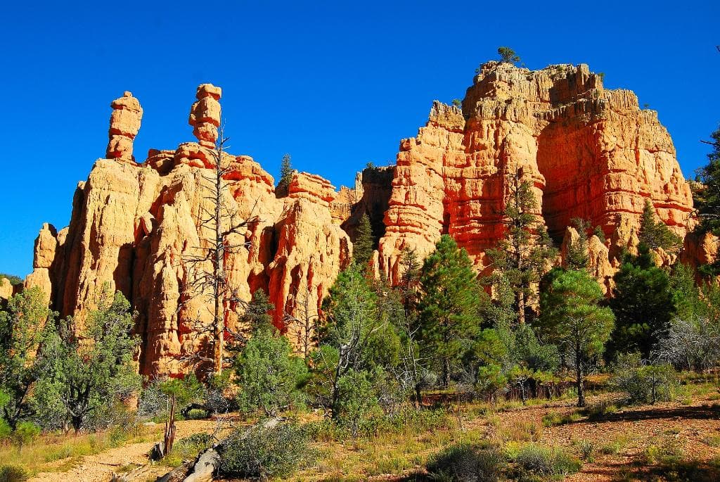 PINK LEDGES TRAIL-RED CANYON, UTAH-B