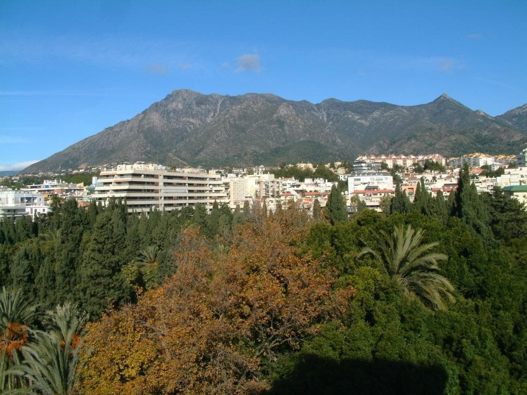Overview of Park Constitution toward La Concha Mountain