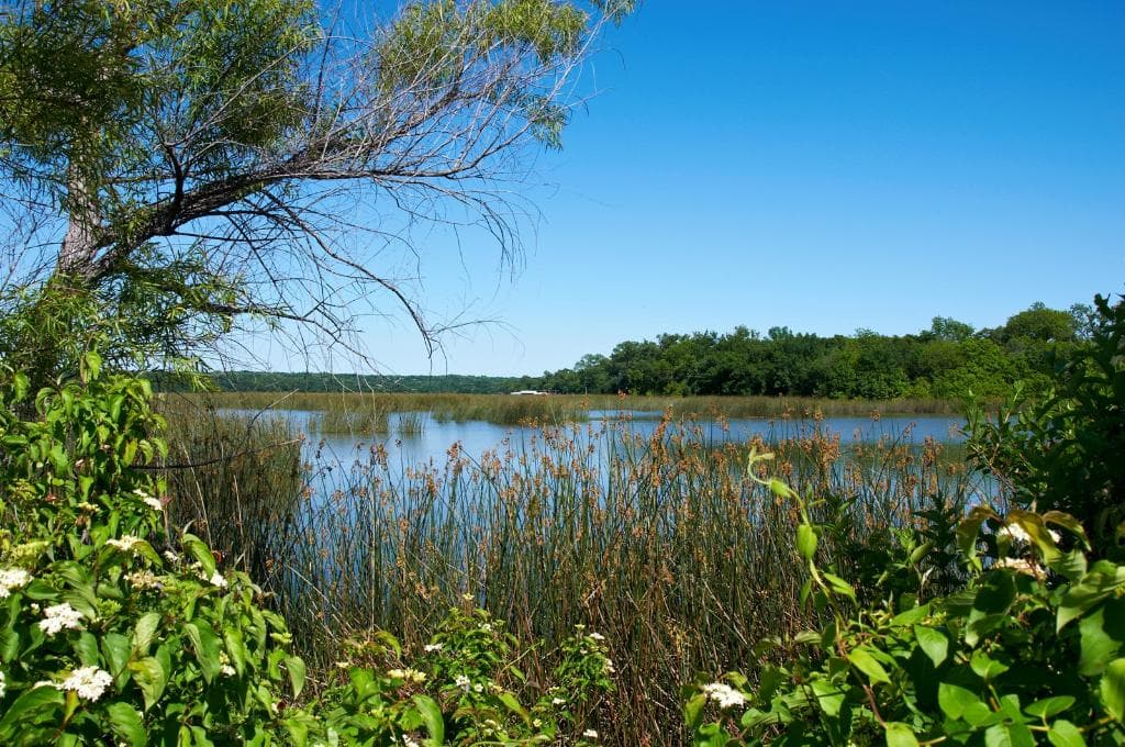 Greer Island