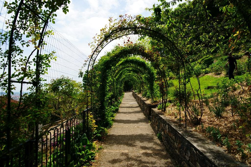 Des Hauteurs Park