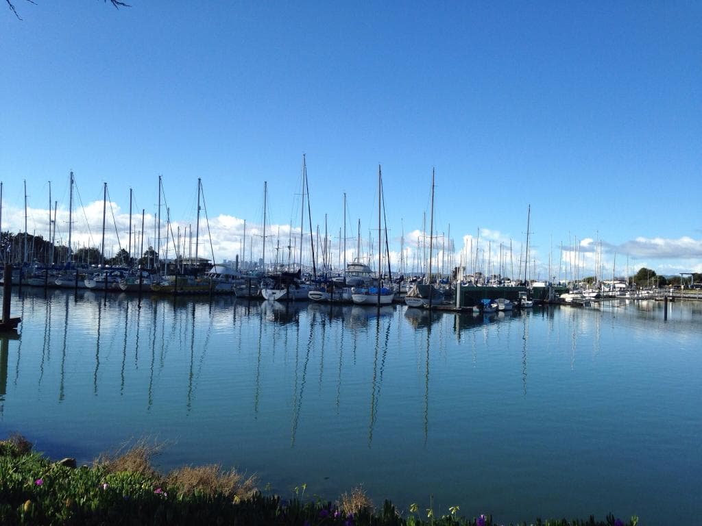 View of Berkeley Marina