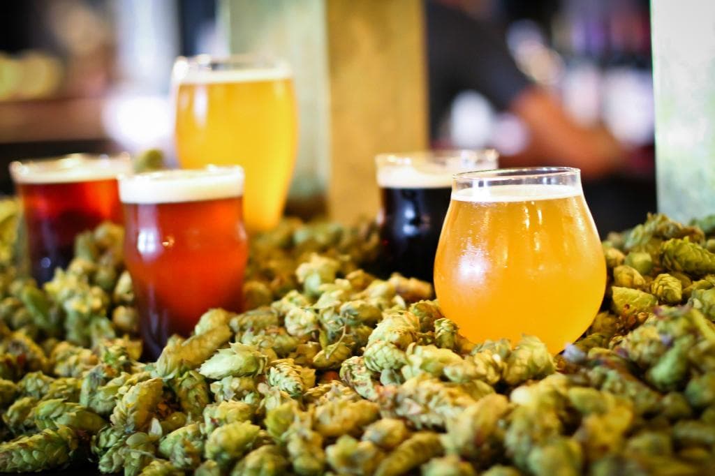 Beer & Hops