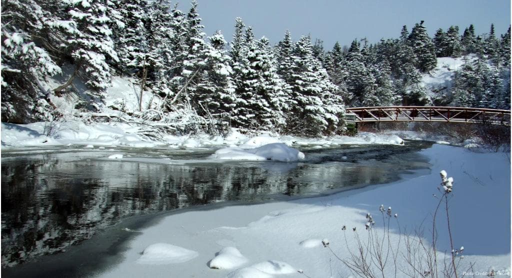 Beautiful spot for a snowshoe hike