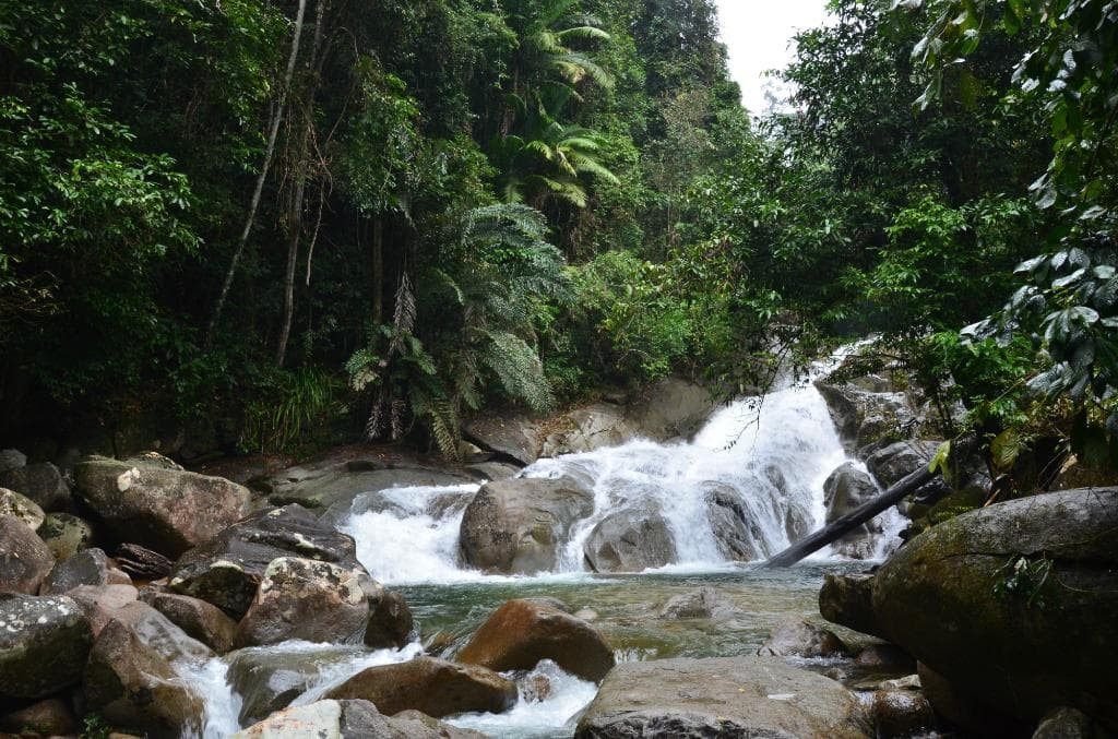 Gunung Gading National Park