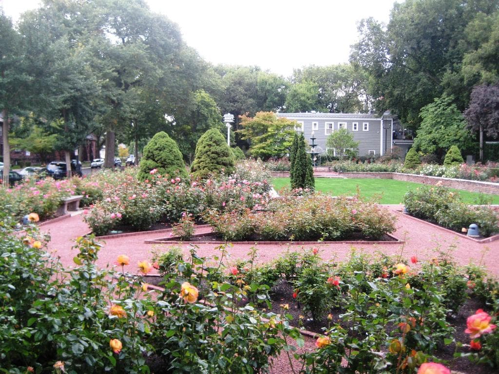 Merrick Rose Garden in bloom