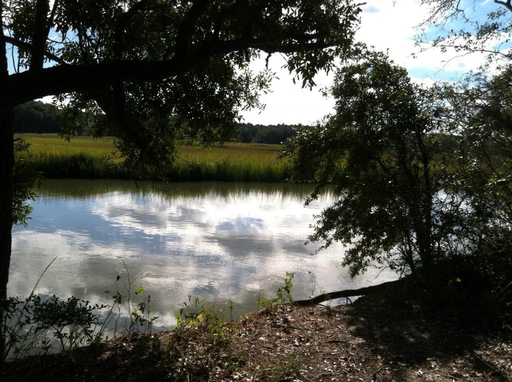 Clouds reflected on creek