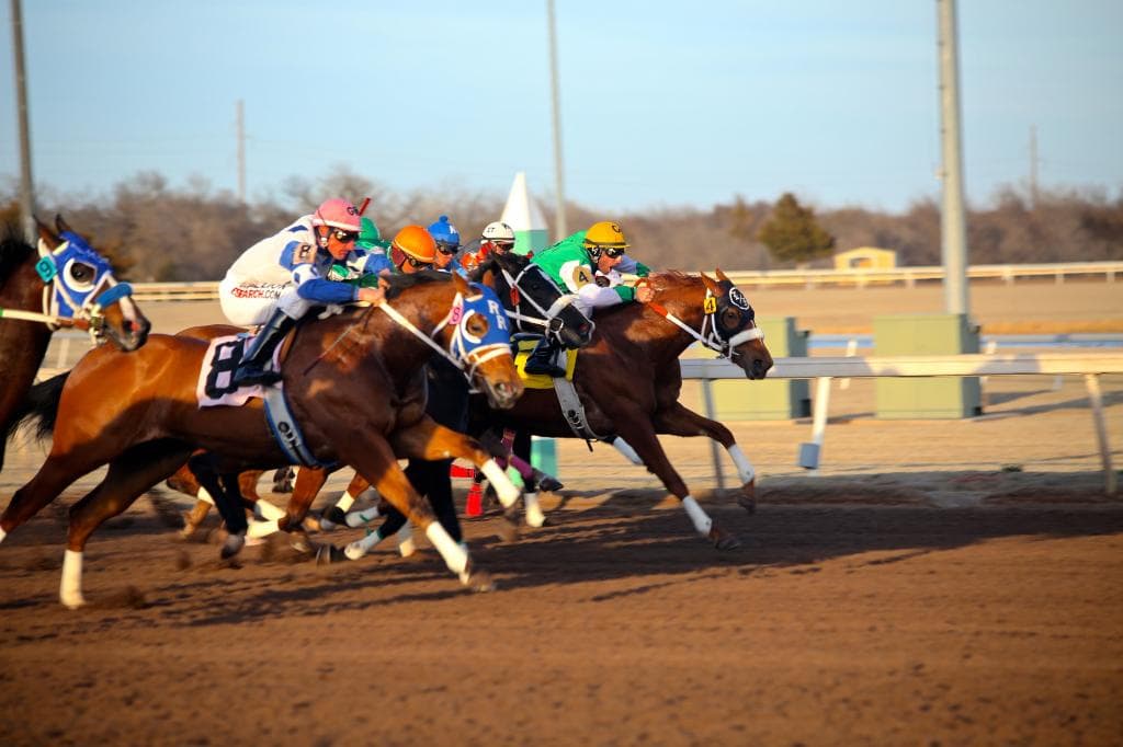 Quarter Horse Racing