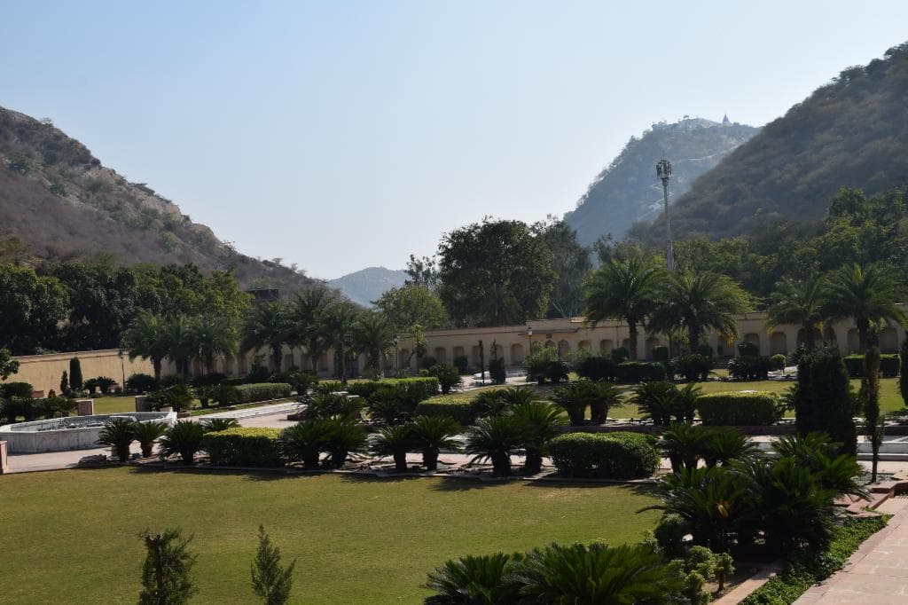 Garden view