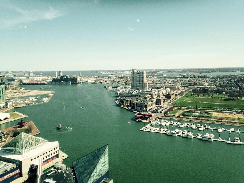 View from Top of the world tower