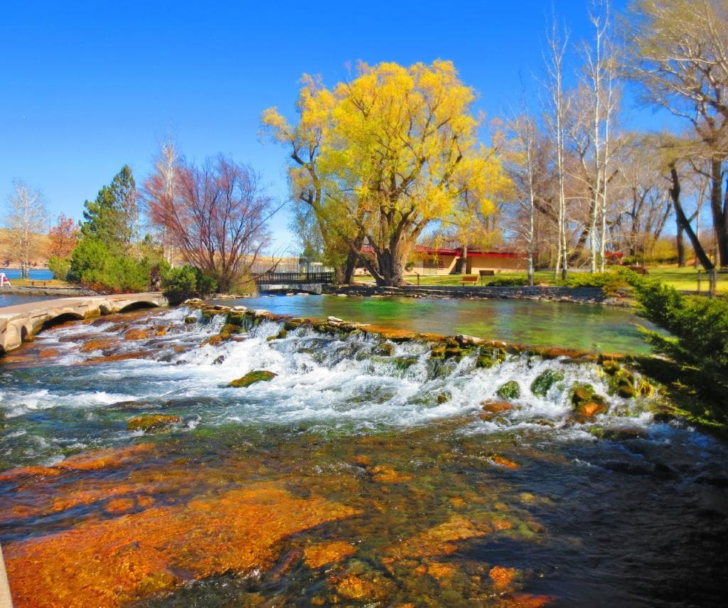 Giant Springs