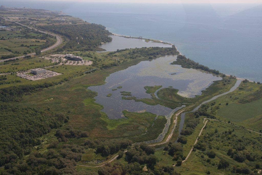 Second Marsh and McLaughlin Bay