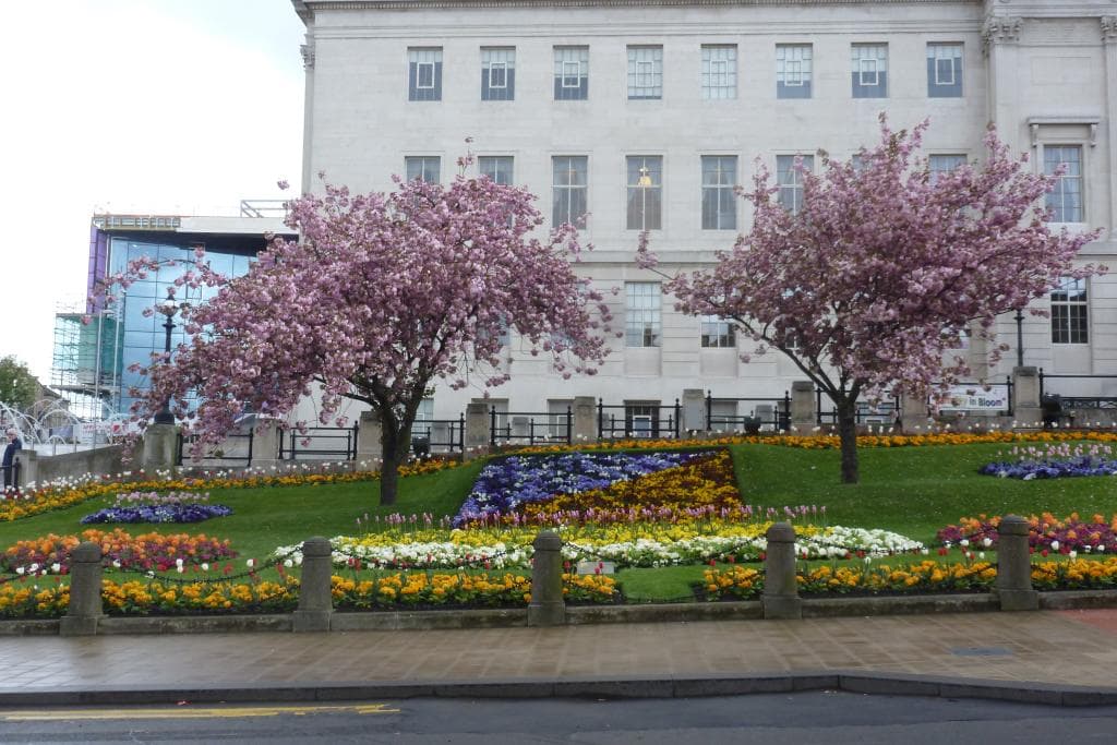 delightful bright display