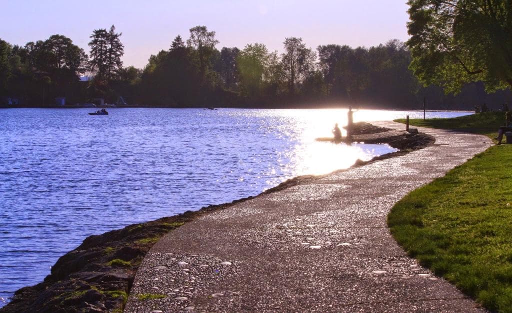 Walking path along the lake