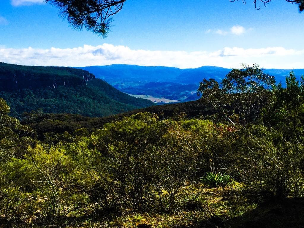 View over Kanimbla valley,Blackheath