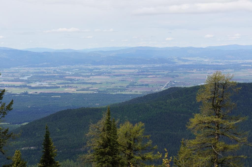 View