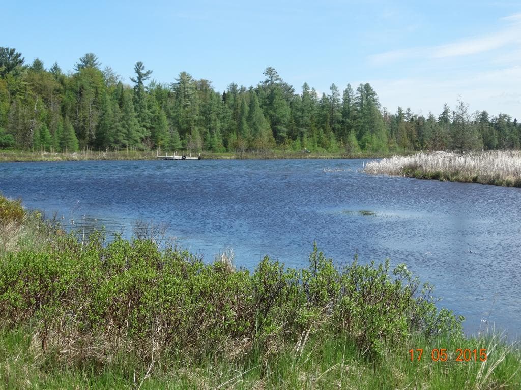 Marsh