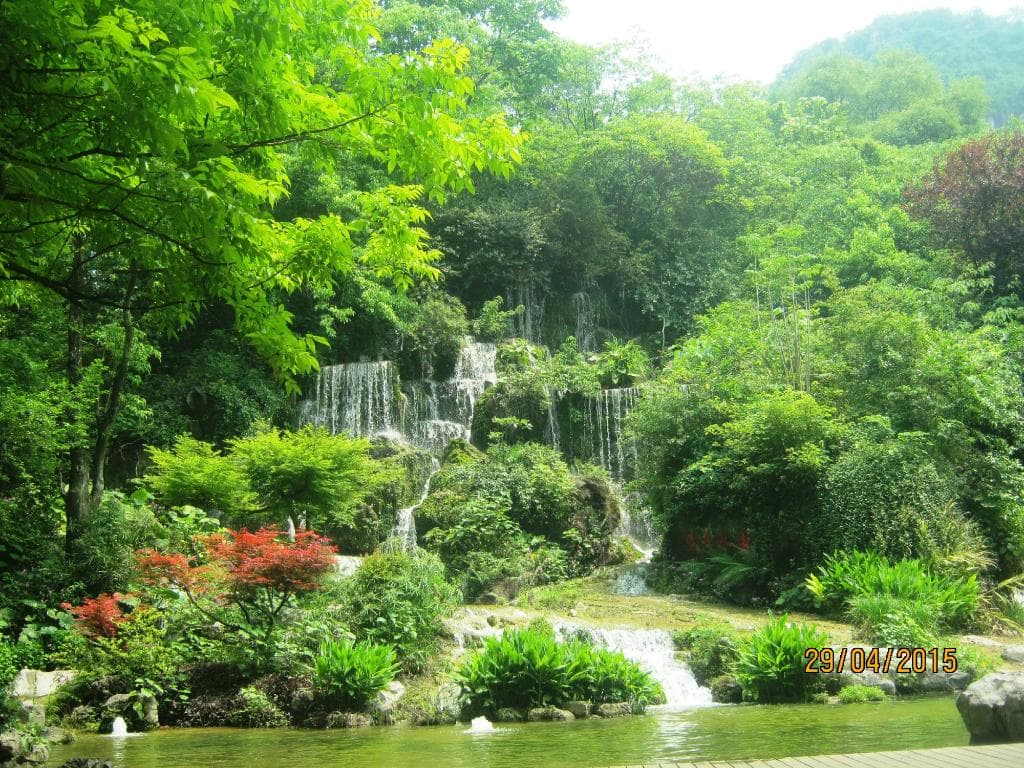 seven star park