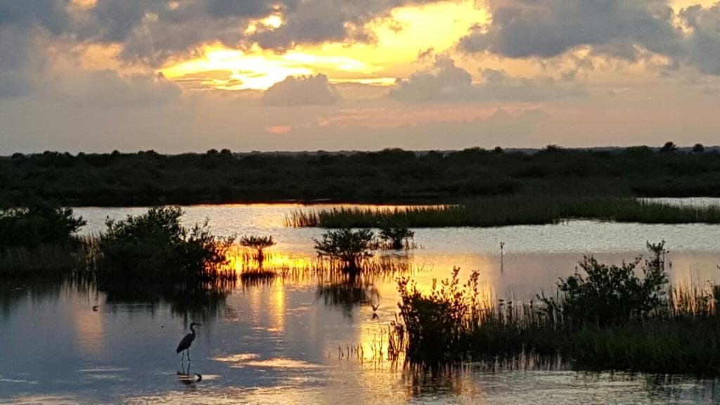 Black Point Wildlife Drive on Memorial Day Weekend 2015!