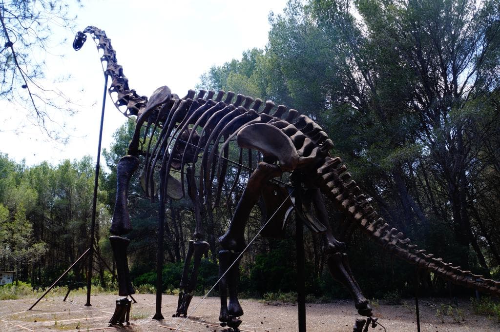 Parc des Dinosaure