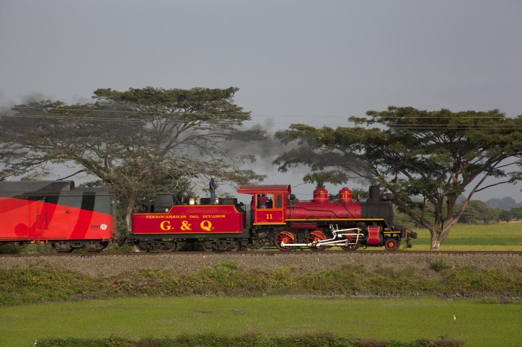 Tren Crucero con rumbo a Durán