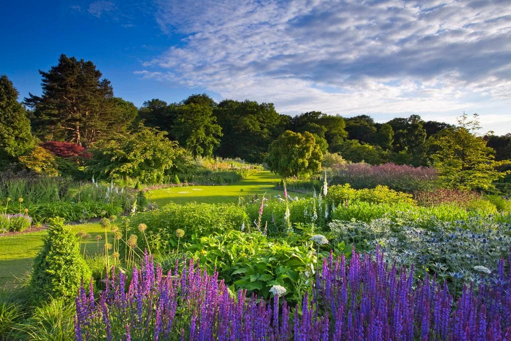 The Main Borders at RHS Garden Harlow Carr