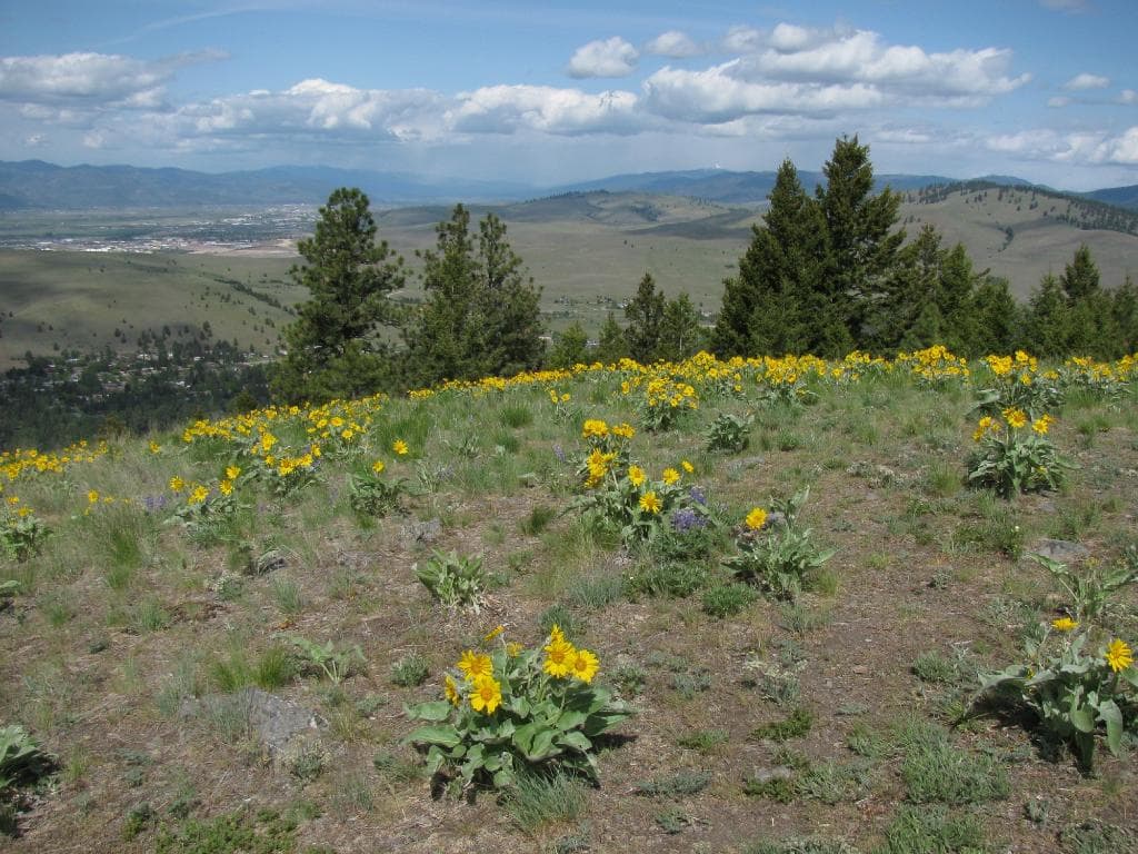 View West from an Overlook on the Trail from the Saddle to Mount Jumbo