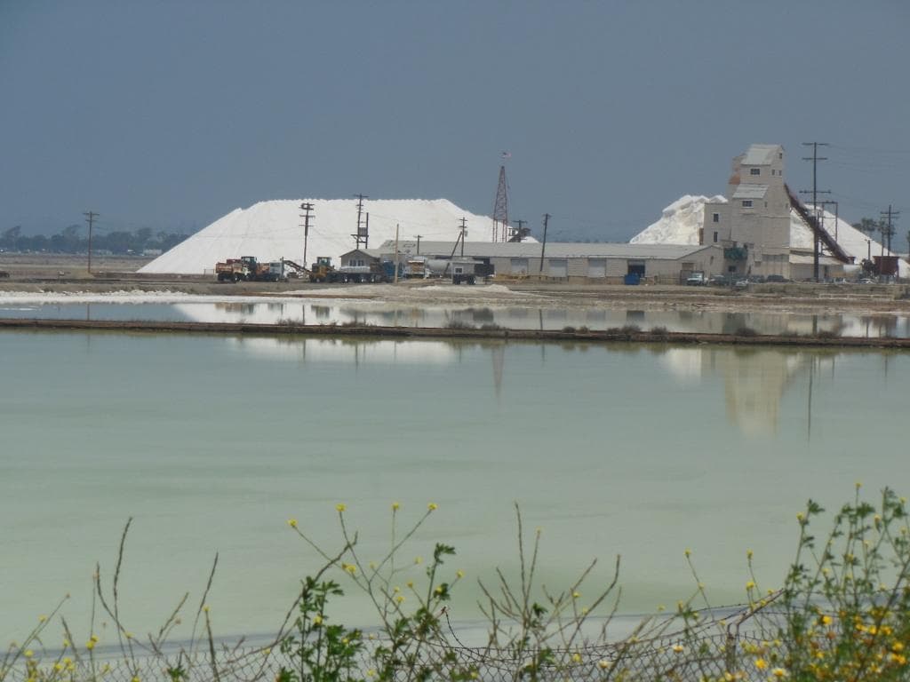Salt ponds looking from South Bay Bike Way