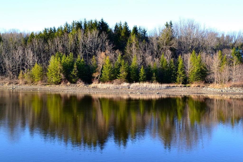 Reflections
