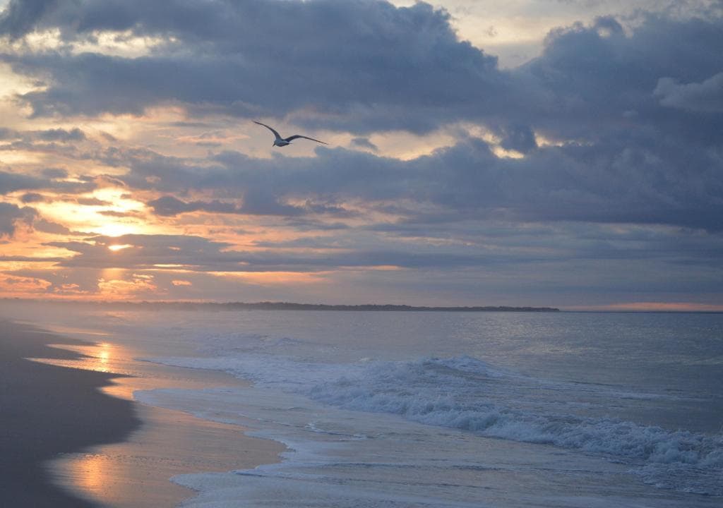 Poverty Beach, Cape May, NJ at sunrise ©HeatherBodkin 2015