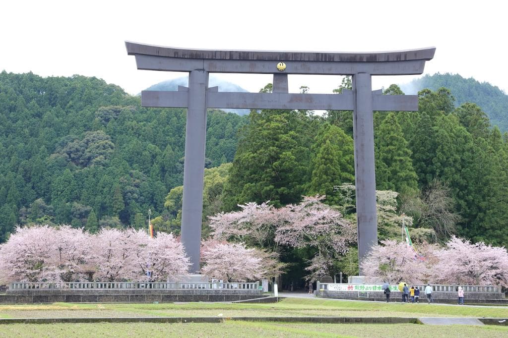 桜に囲まれる大鳥居