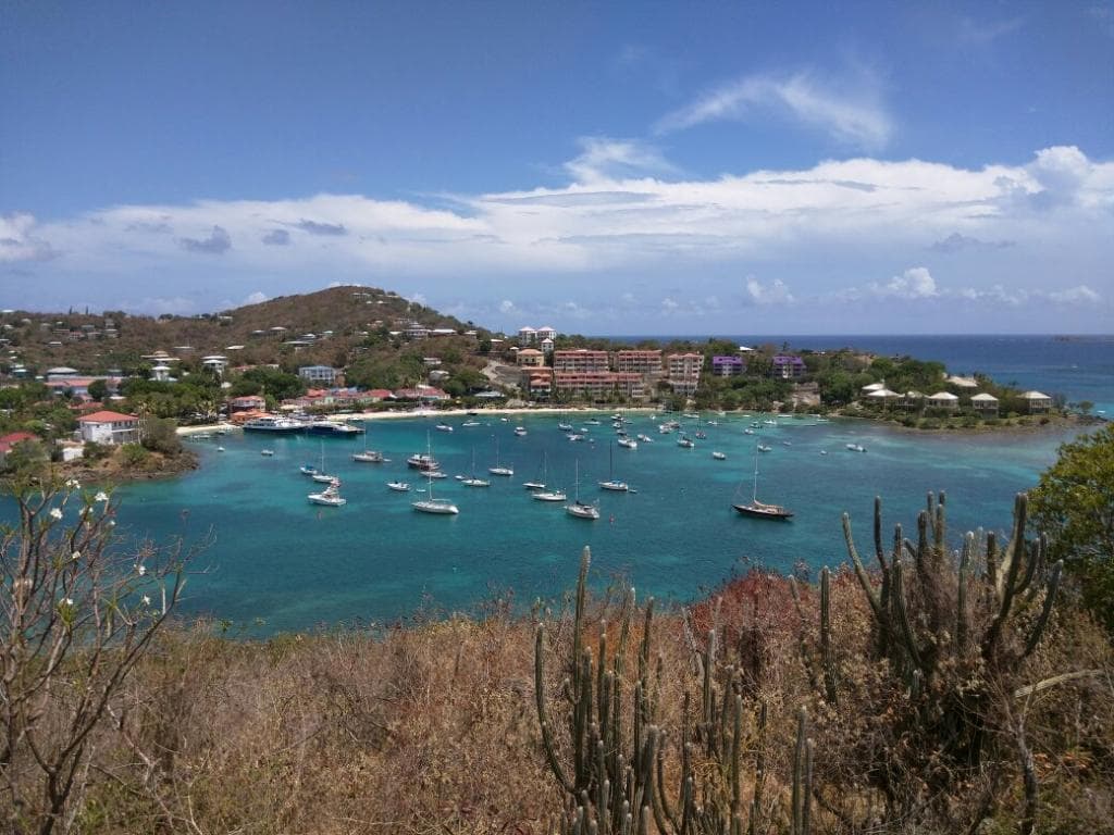 A couple of views from the trail