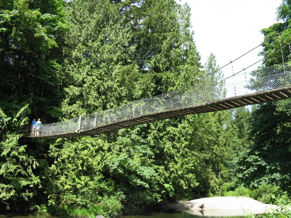 The suspension bridge