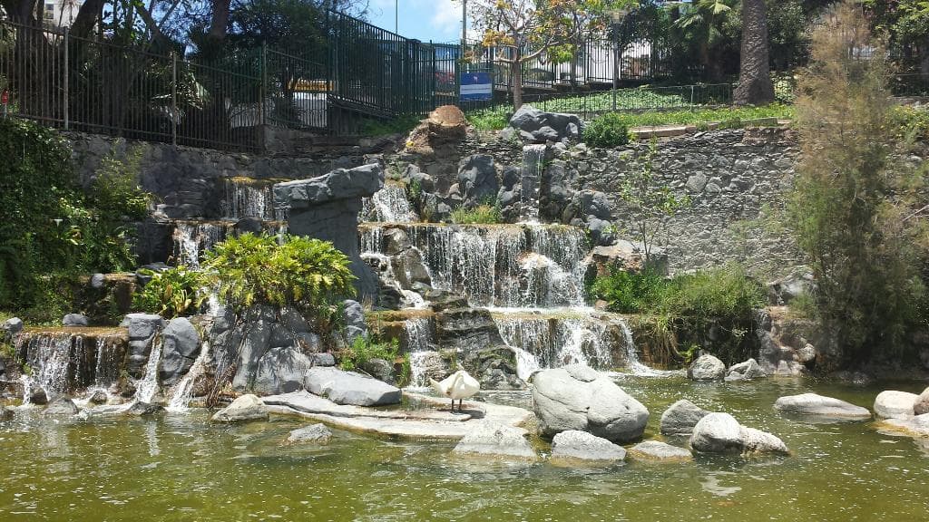 Beautiful and tranquil