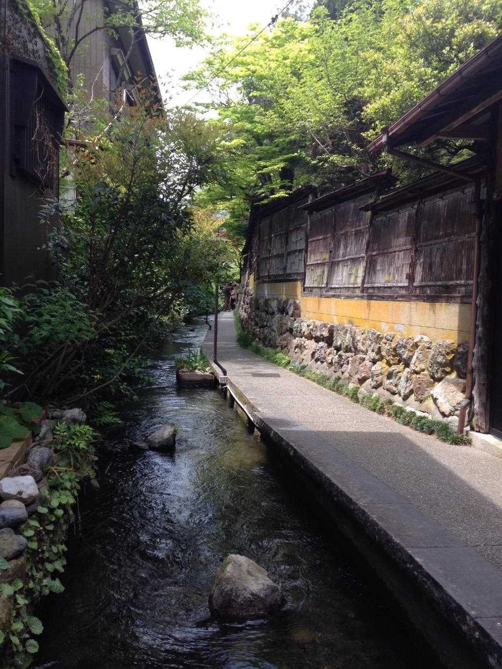 鯉に餌をあげることもできます