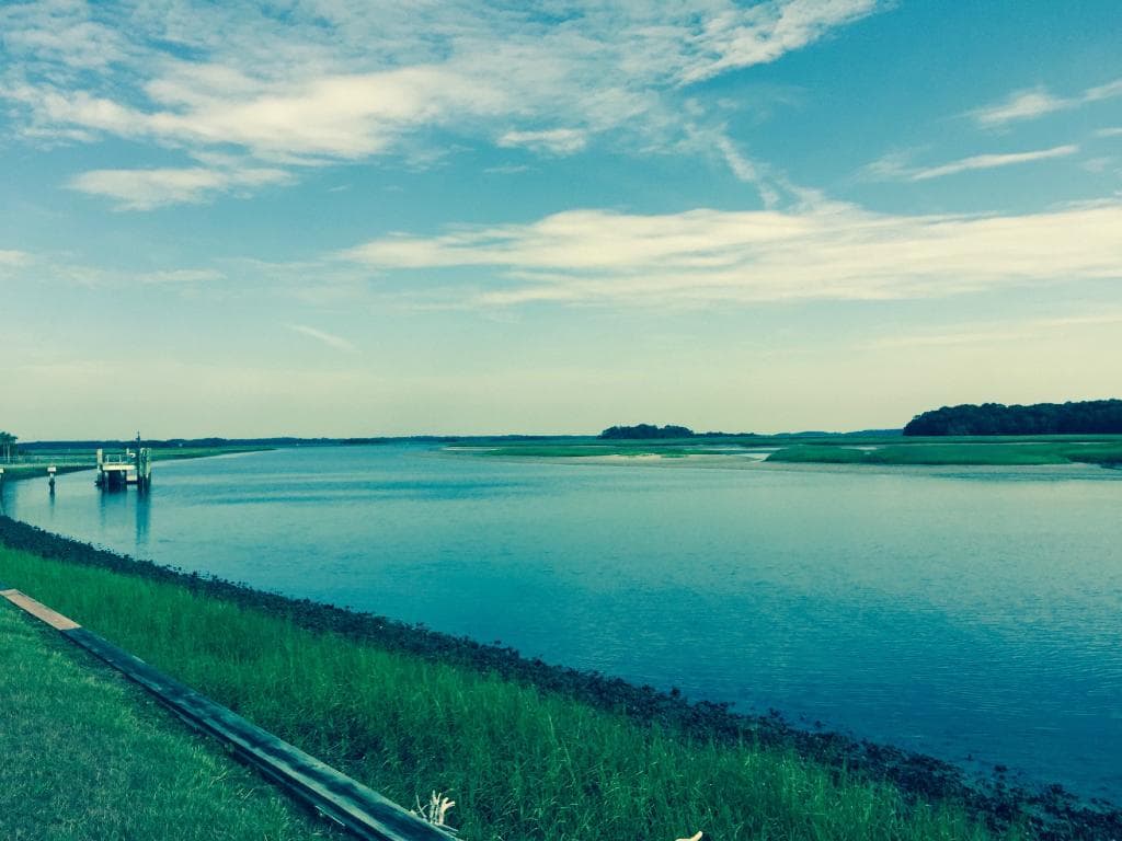 the river