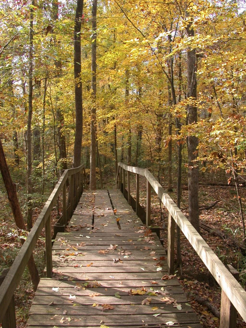 5 miles of hiking trails.