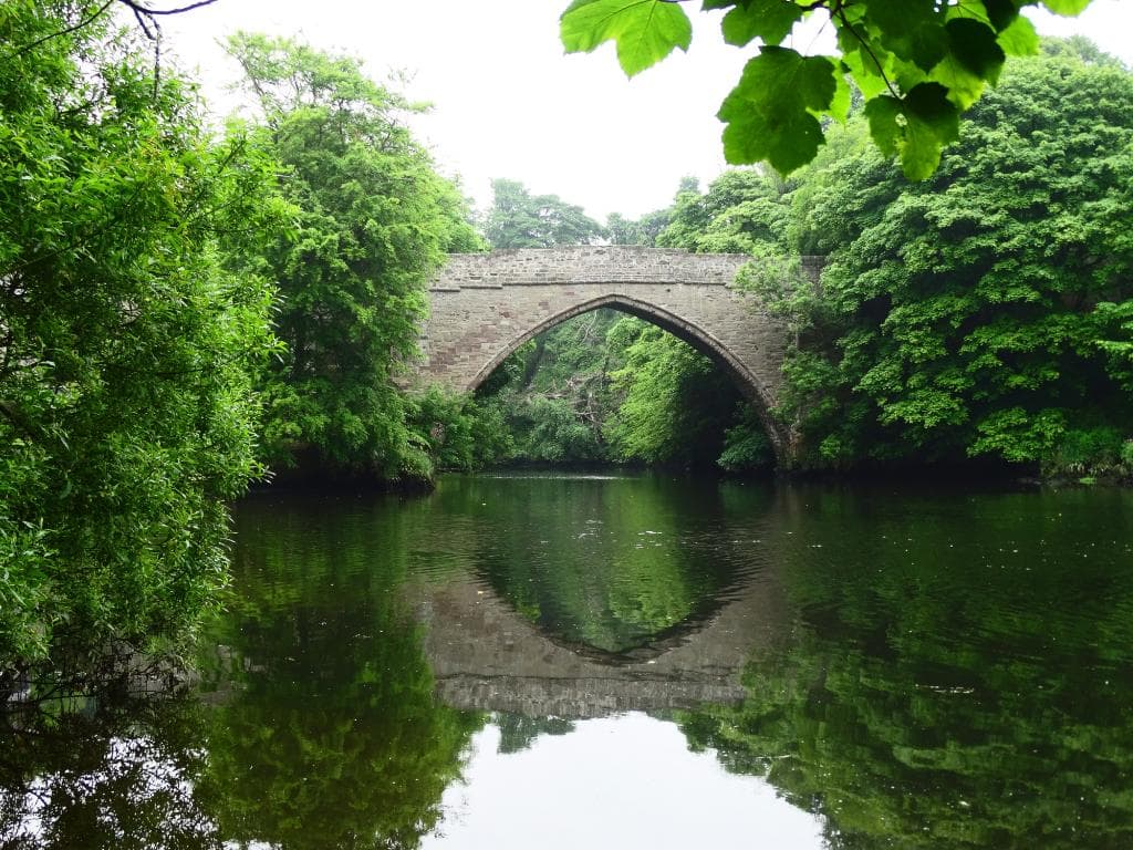 Bridge