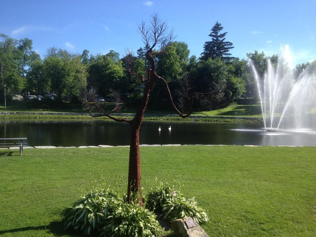 Park scene_3