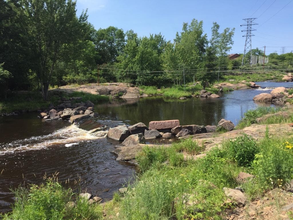 Gorgeous walk along the Fern trail to see the flowing river where you may even see a kayaker.