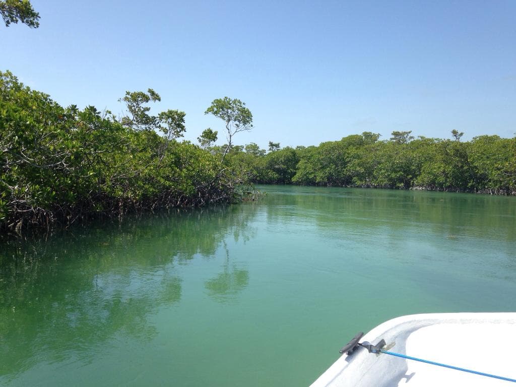 Beautiful water in biscayne bay national park!
