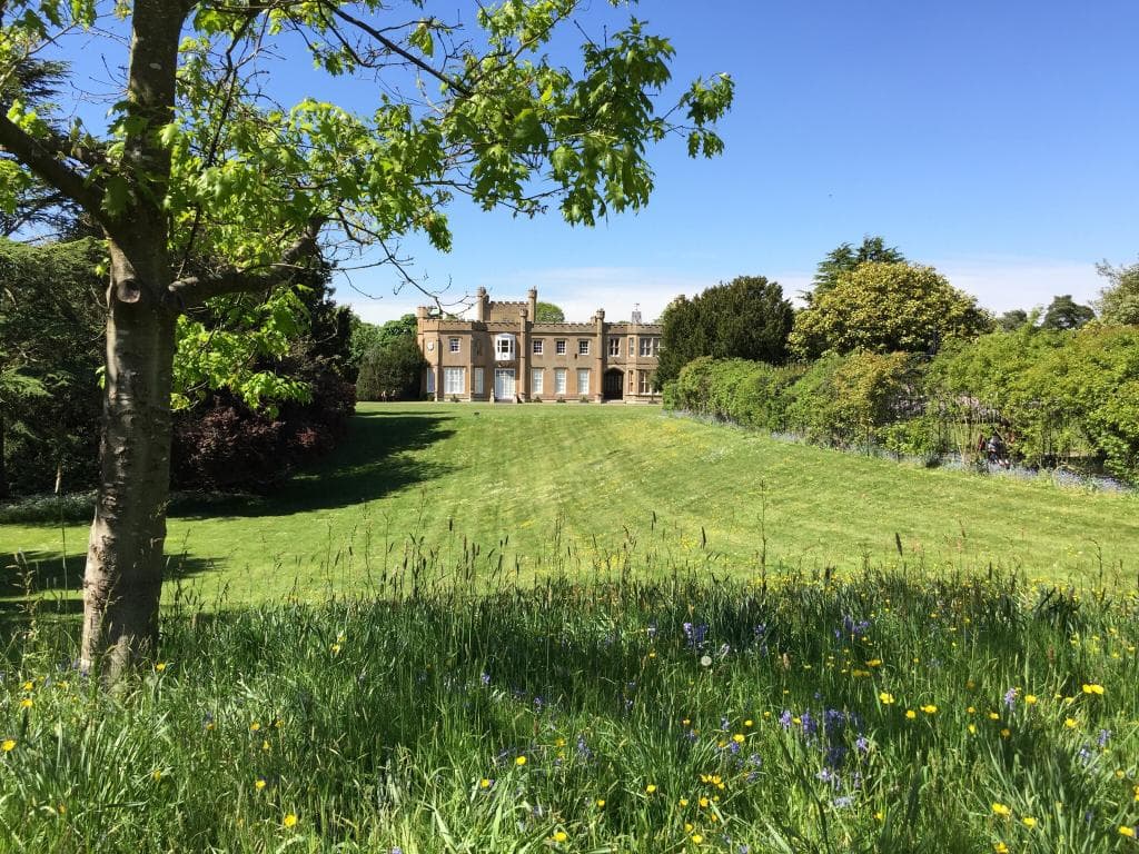 Lovely summers day walking in no such park